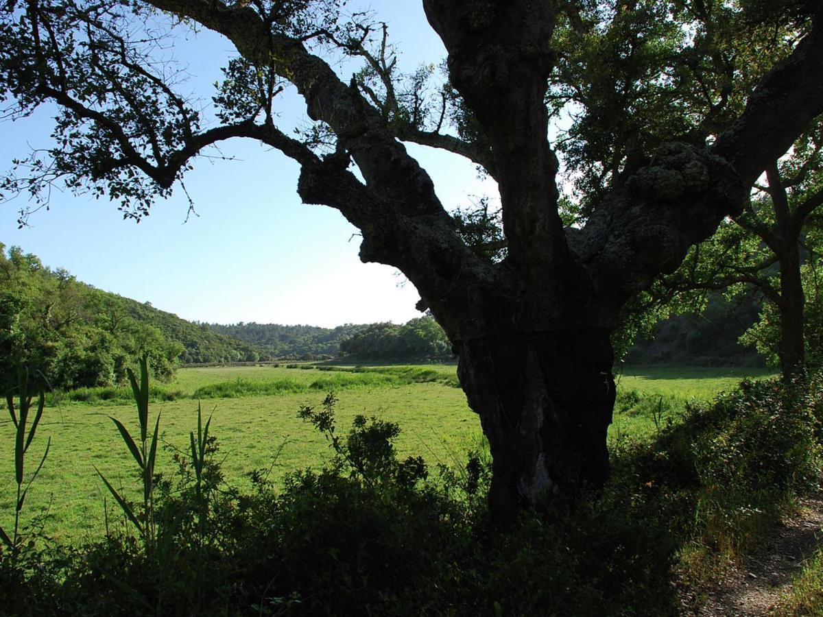 Quiet And Cottage In The Estate Casas Da Cerca Troviscais ภายนอก รูปภาพ